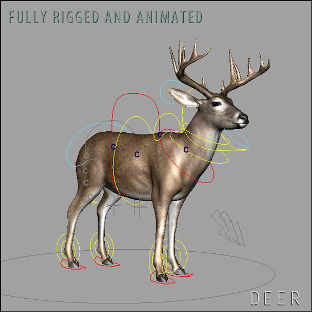 deer family 3d model https://p.turbosquid.com/ts-thumb/9j/lQLrp5/unhDTdIN/adeerhd008/jpg/1292833746/1920x1080/fit_q87/4c63b8d106b612198c2b56250c4e60490fb06794/adeerhd008.jpg