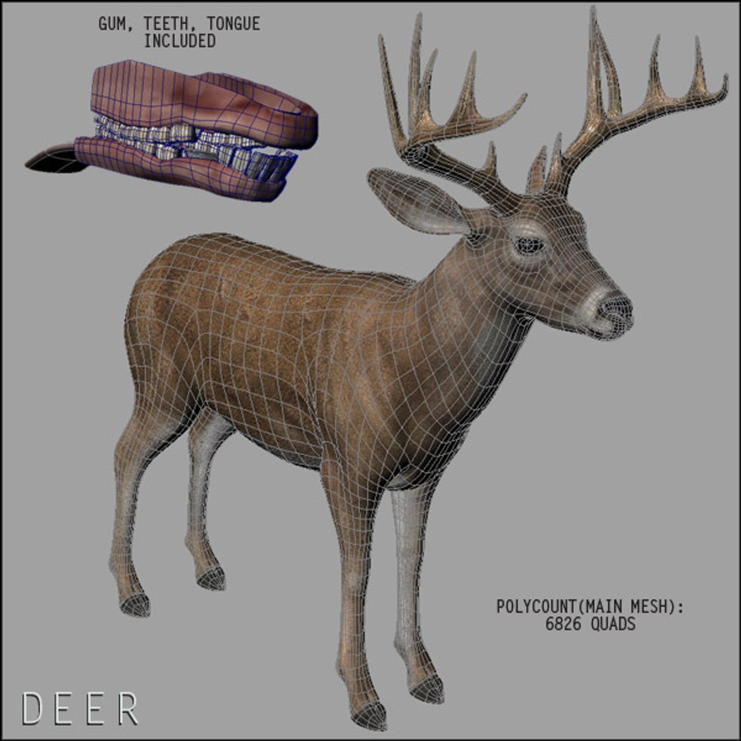 deer family 3d model https://p.turbosquid.com/ts-thumb/9j/lQLrp5/w5gqFc53/deerhd13/jpg/1292833746/1920x1080/fit_q87/9dc9b6098150713dbae06d72c77de1e838e34b1b/deerhd13.jpg