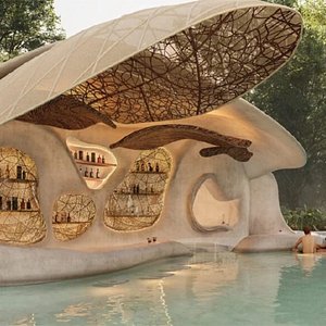 Revit BIM  rhinoceros 7 model poolbar 3D model