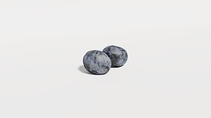 3D Blueberry