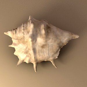 Seashell_Product_lwo