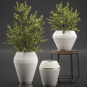 3D decorative interior pots eucalyptus