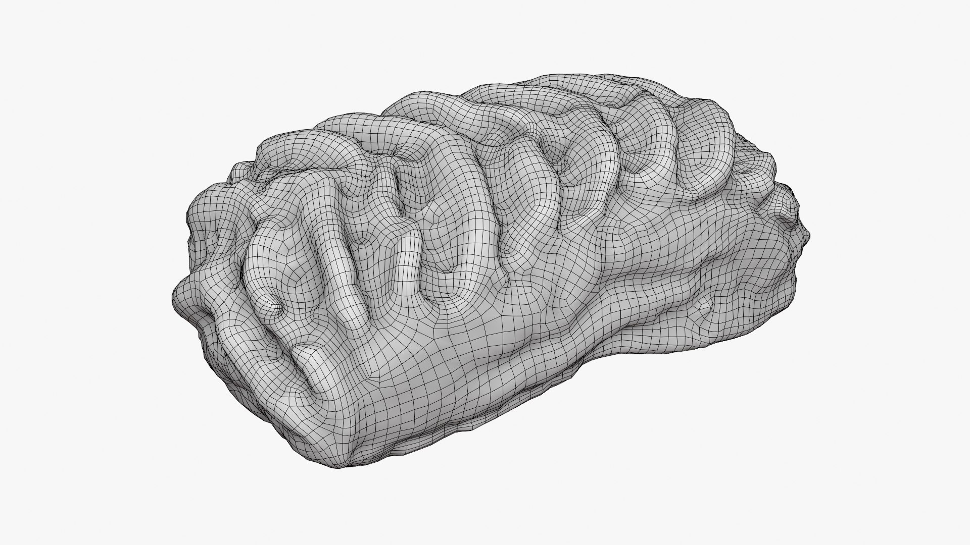 Lattice Filled Maamoul Cookie - 3D Scanned 3D model https://p.turbosquid.com/ts-thumb/9k/YgqpRV/kc/cookiemaamoul02_d0006/png/1781937107/1920x1080/fit_q87/1f9da3cccae9c8a6e65e9774a63a5046625d0c64/cookiemaamoul02_d0006.jpg