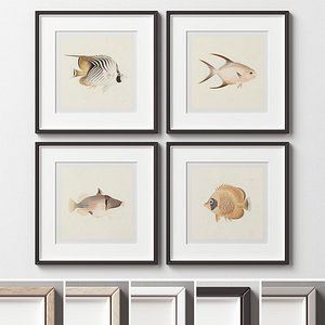 Picture Frames Set-415