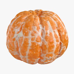 realistic peeled mandarin model