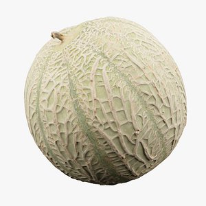 3D Honeydew Melon model