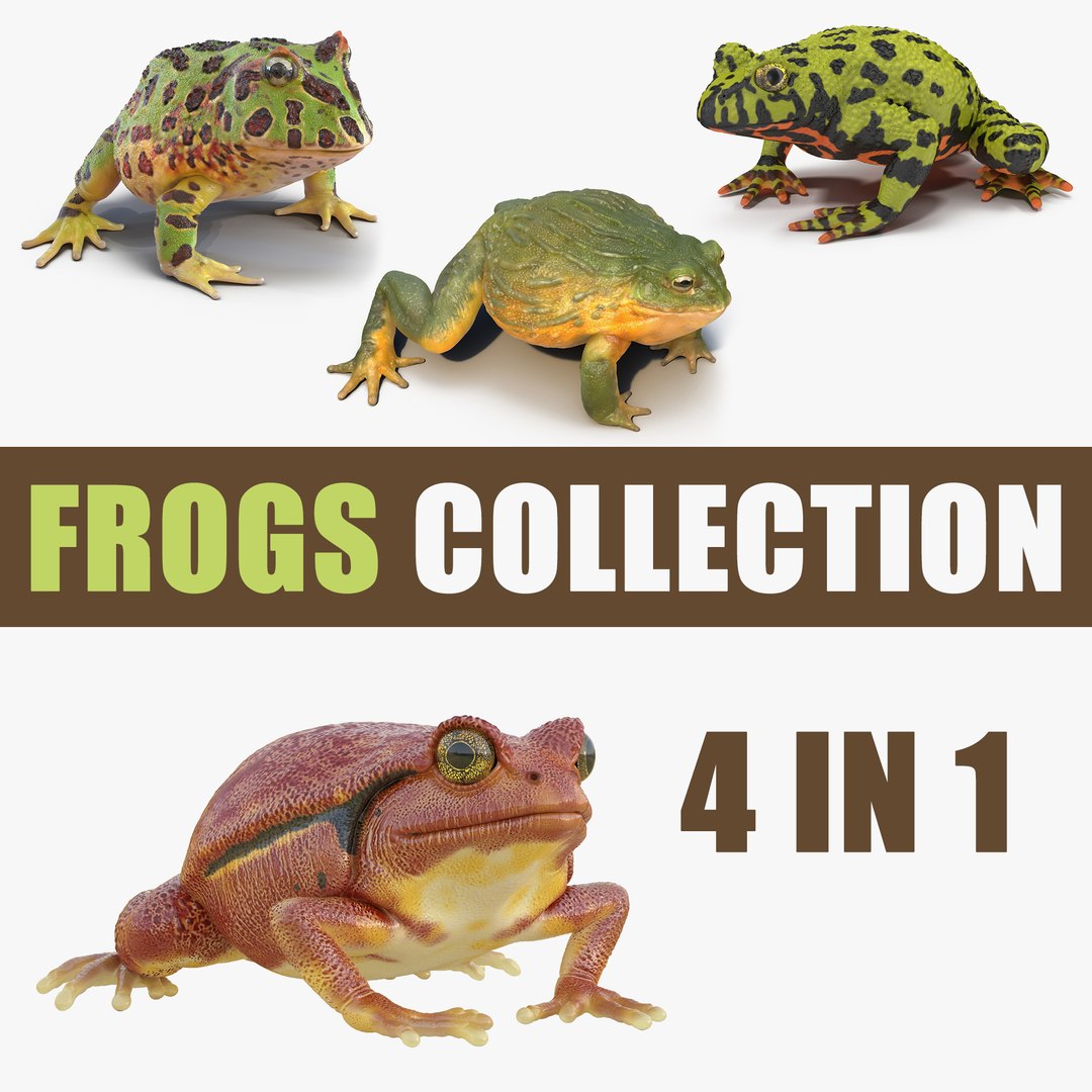 Frogs 3D Models Collection 3 3D model preview