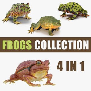 3D frogs 3 model