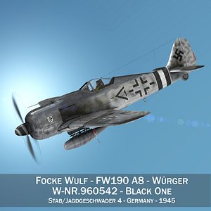 Focke Wulf - FW190 A8 - 960542