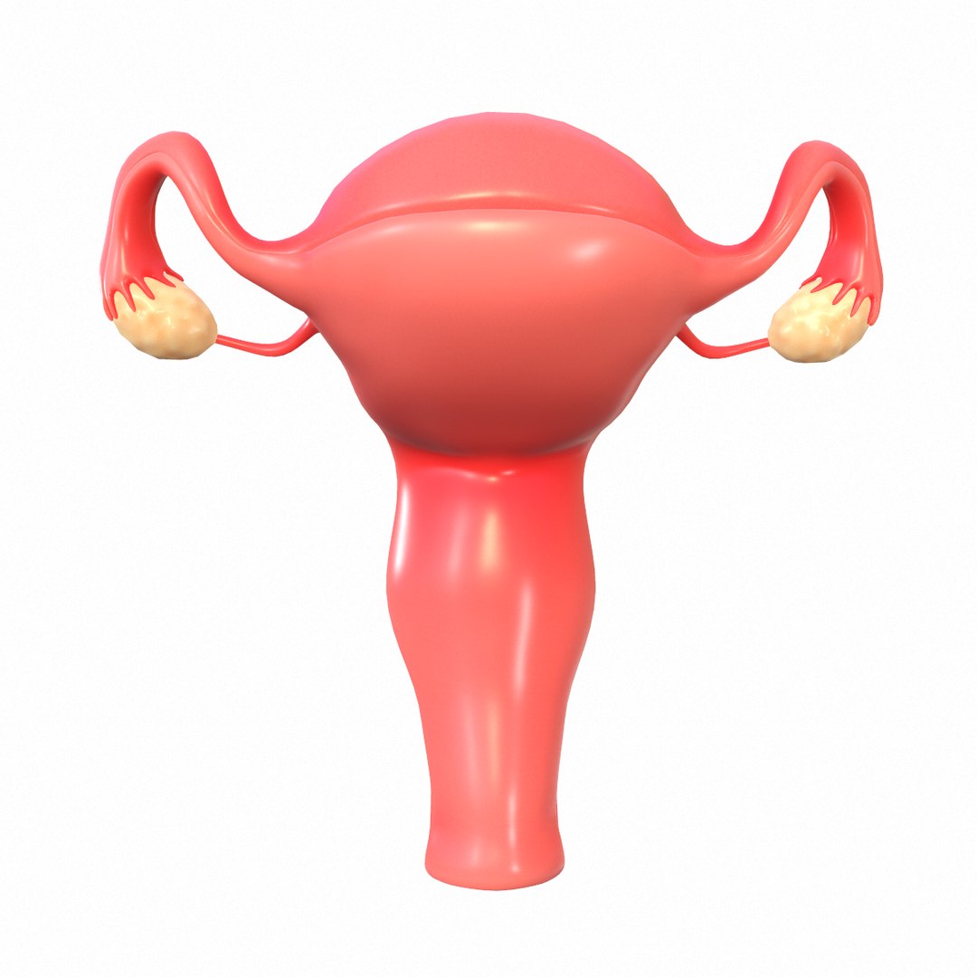 female reproductive model https://p.turbosquid.com/ts-thumb/9l/OwkcUM/86jDq9jD/screenshot005/png/1590416358/1920x1080/fit_q87/592192d3e75fab3420bf6502fc81ea1407a06e99/screenshot005.jpg