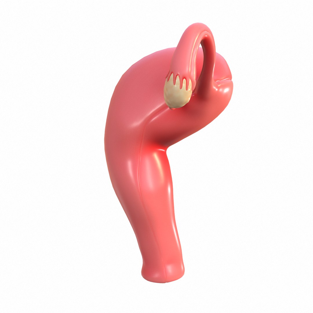 female reproductive model https://p.turbosquid.com/ts-thumb/9l/OwkcUM/dQk0El4A/screenshot006/png/1590416358/1920x1080/fit_q87/22773e0ea43b9408fddbe8aea93b952b5d527ca5/screenshot006.jpg