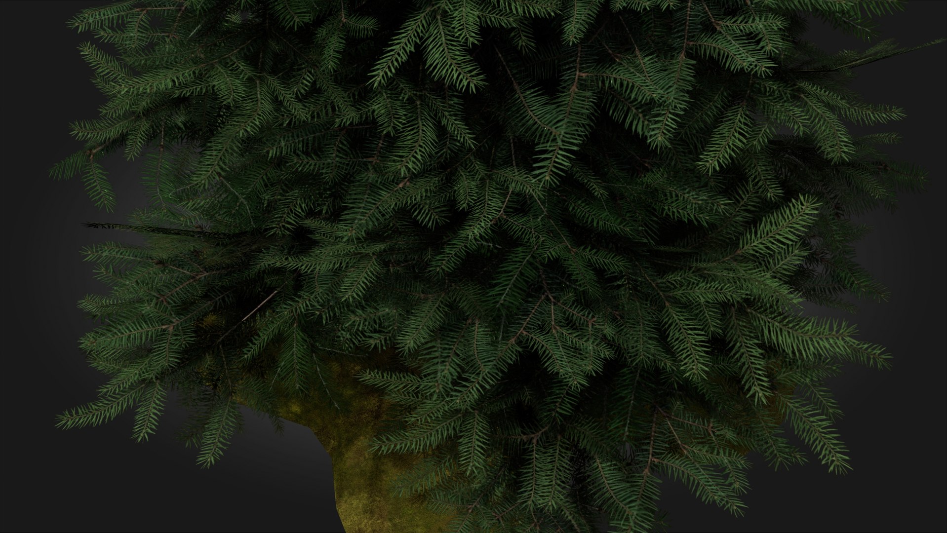 3D Scan Based Spruce Tree - PBR model https://p.turbosquid.com/ts-thumb/9l/SjPXxB/6K/scamdinavian_spruce_tree_1_11/jpg/1661514861/1920x1080/fit_q87/b460f37992fcf35c5c025ff72259779b9b731599/scamdinavian_spruce_tree_1_11.jpg