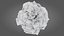 3D Scan Based Spruce Tree - PBR