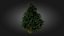 3D Scan Based Spruce Tree - PBR