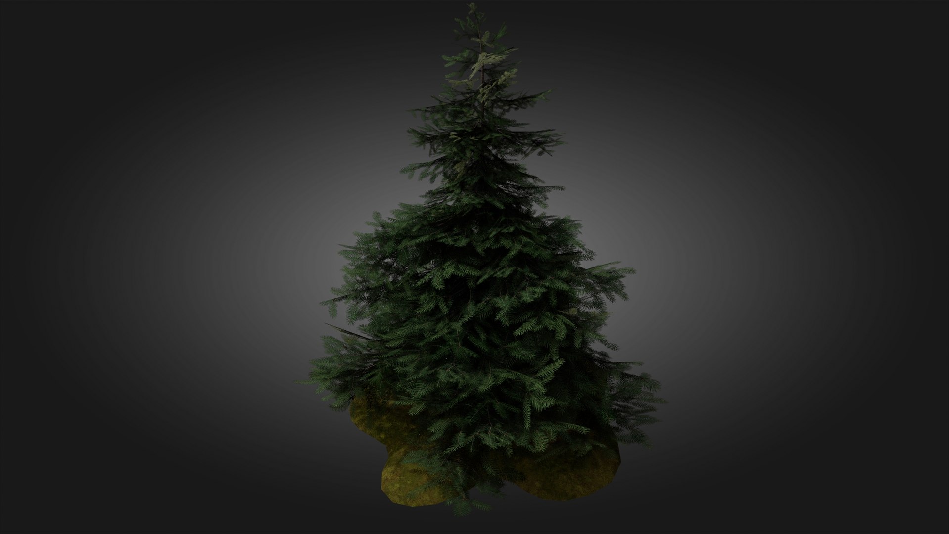 3D Scan Based Spruce Tree - PBR model https://p.turbosquid.com/ts-thumb/9l/SjPXxB/N3/scamdinavian_spruce_tree_1_05/jpg/1661514857/1920x1080/fit_q87/04ecc2dca8175316bf8cfa649ee4d26fbfdec330/scamdinavian_spruce_tree_1_05.jpg