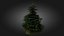3D Scan Based Spruce Tree - PBR