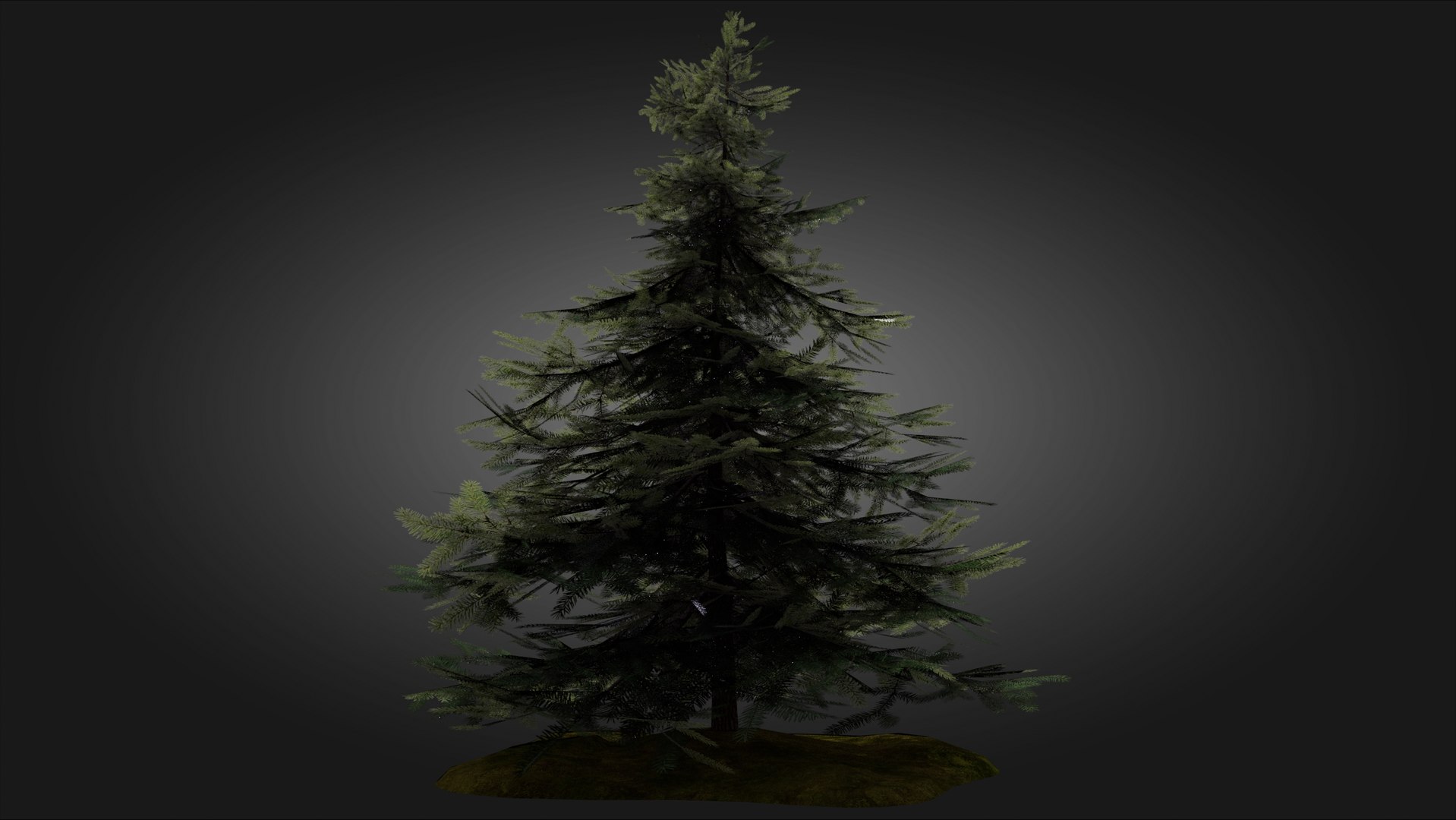 3D Scan Based Spruce Tree - PBR model https://p.turbosquid.com/ts-thumb/9l/SjPXxB/RZ/scamdinavian_spruce_tree_1_04/jpg/1661514858/1920x1080/fit_q87/1d0cc16d18d658bc1bc470a8e7492273f49857f0/scamdinavian_spruce_tree_1_04.jpg