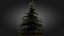 3D Scan Based Spruce Tree - PBR