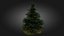 3D Scan Based Spruce Tree - PBR