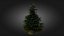 3D Scan Based Spruce Tree - PBR