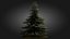 3D Scan Based Spruce Tree - PBR