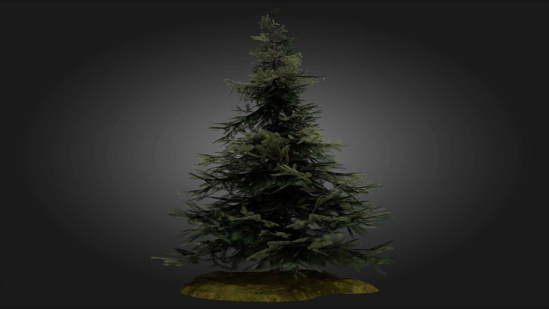 3D Scan Based Spruce Tree - PBR model https://p.turbosquid.com/ts-thumb/9l/SjPXxB/ok/scamdinavian_spruce_tree_1_03/jpg/1661514856/1920x1080/fit_q87/e520067dd00e2709354a53993446ed33ec5bc4d1/scamdinavian_spruce_tree_1_03.jpg