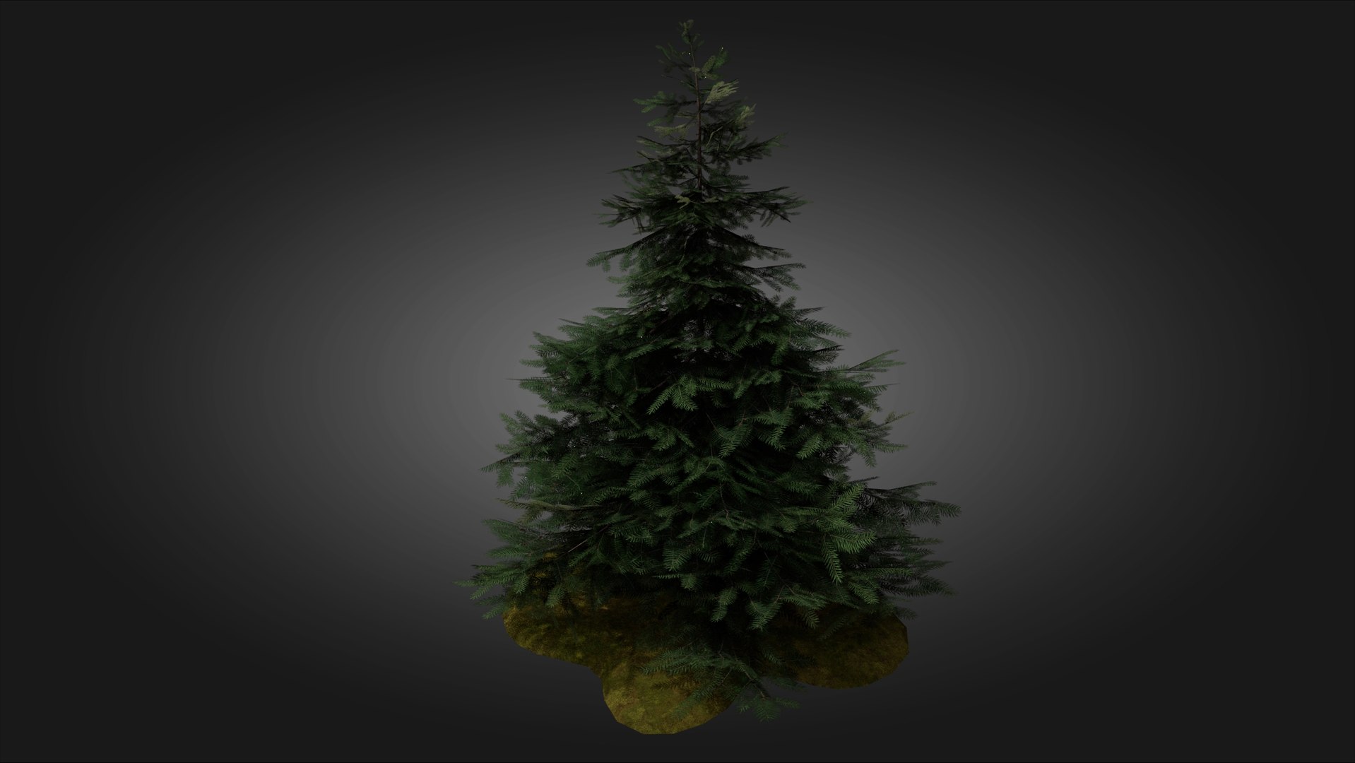 3D Scan Based Spruce Tree - PBR model https://p.turbosquid.com/ts-thumb/9l/SjPXxB/sm/scamdinavian_spruce_tree_1_0001/jpg/1661514851/1920x1080/fit_q87/ed8ca052da23a19825a1751d4ea10ee91ed5055b/scamdinavian_spruce_tree_1_0001.jpg