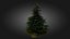 3D Scan Based Spruce Tree - PBR
