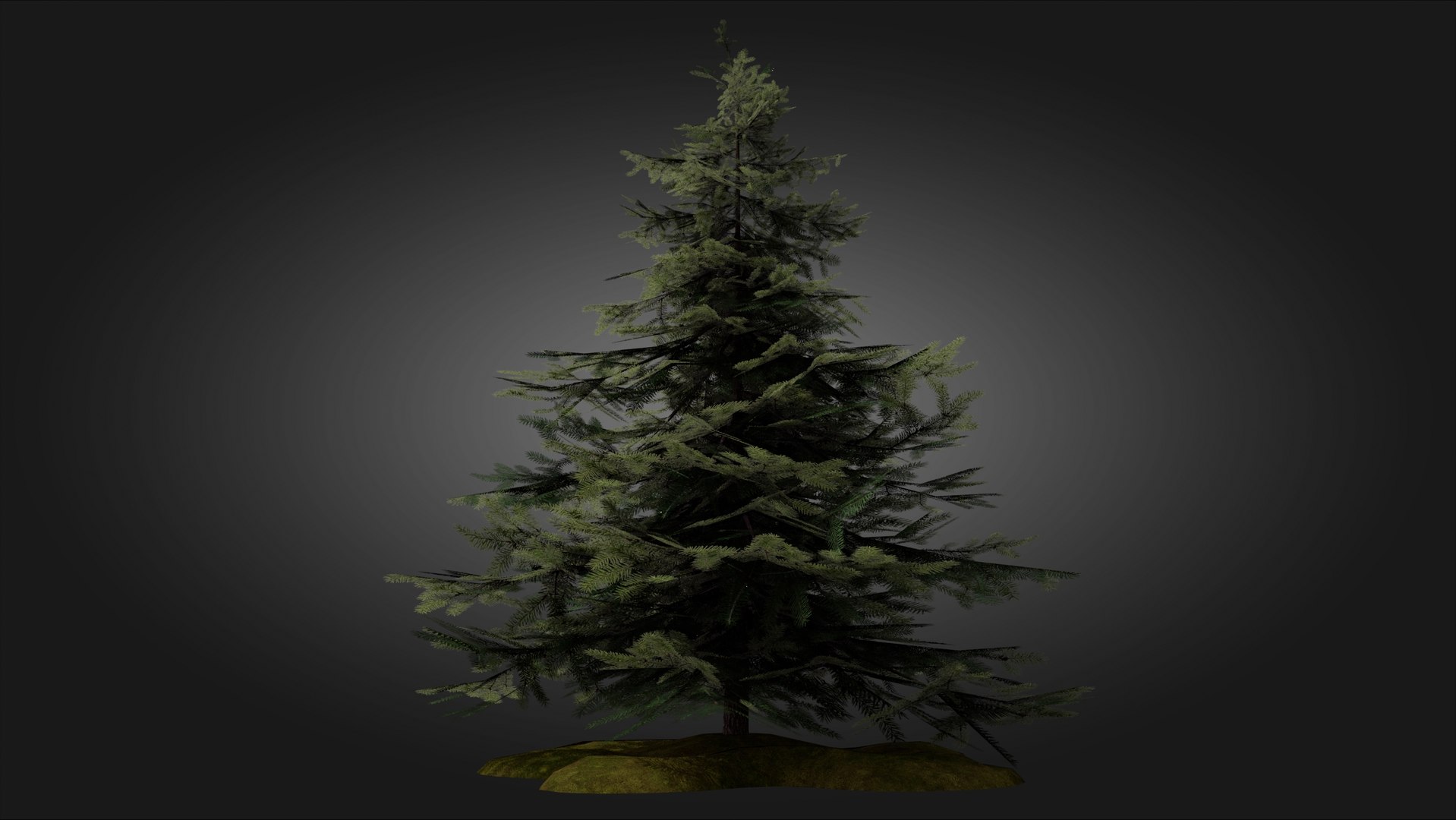 3D Scan Based Spruce Tree - PBR model https://p.turbosquid.com/ts-thumb/9l/SjPXxB/tM/scamdinavian_spruce_tree_1_01/jpg/1661514855/1920x1080/fit_q87/84309dacb2aeeb93bb2550bb9dc31f67b881968c/scamdinavian_spruce_tree_1_01.jpg