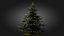 3D Scan Based Spruce Tree - PBR