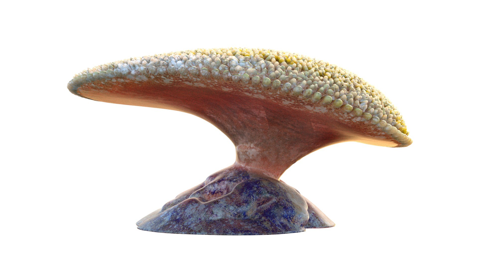 Coral reef 24 3D model https://p.turbosquid.com/ts-thumb/9l/d6MwTj/28/3/jpg/1756886212/1920x1080/fit_q87/b86b0d91338eb9112da03b96b7e8b156be301481/3.jpg