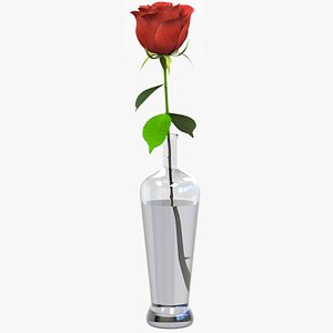rose details 3D model