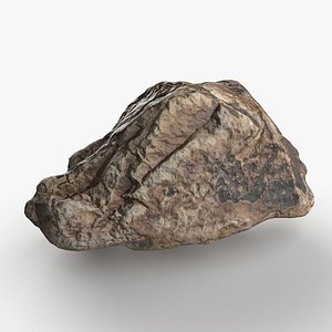 River Stone 20 StemCell 3D model