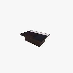 Modern Coffee Table