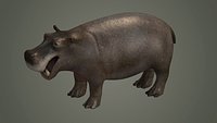 hippopotamus african animal mammal wild hipopotamo