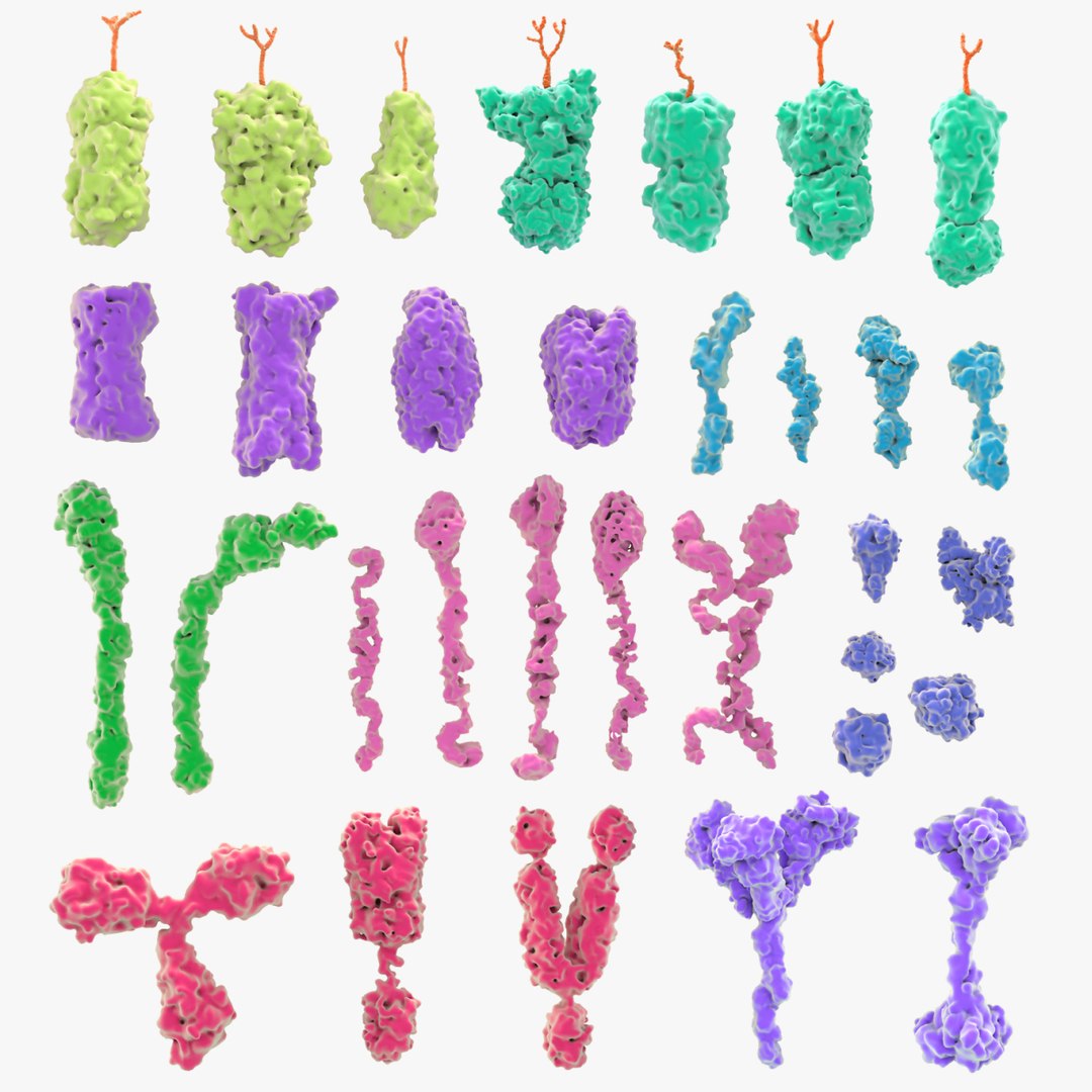 Proteins model https://p.turbosquid.com/ts-thumb/9m/8XUWuo/t5/protein_signature/jpg/1686800949/1920x1080/fit_q87/2c1d3340288dd5d692b98b63238ba3487b33ca47/protein_signature.jpg