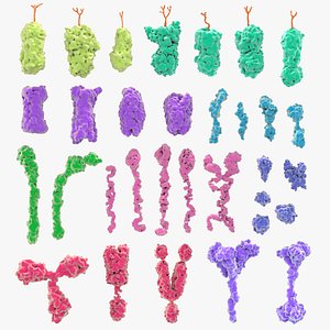 Proteins