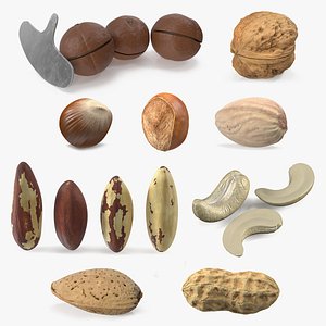 Nuts Collection 11