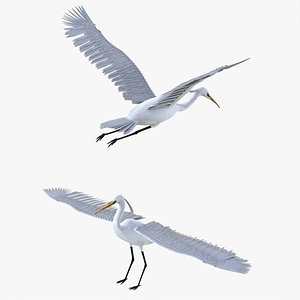 Egret Bird Rigged