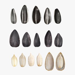 Sunflower seeds 01