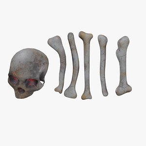 Stylized Scattered Bone