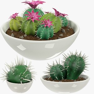 Cactuses in Pot Collection V3