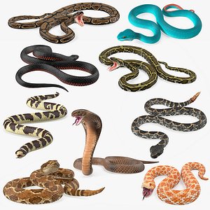 Snakes Big Rigged Collection for Maya