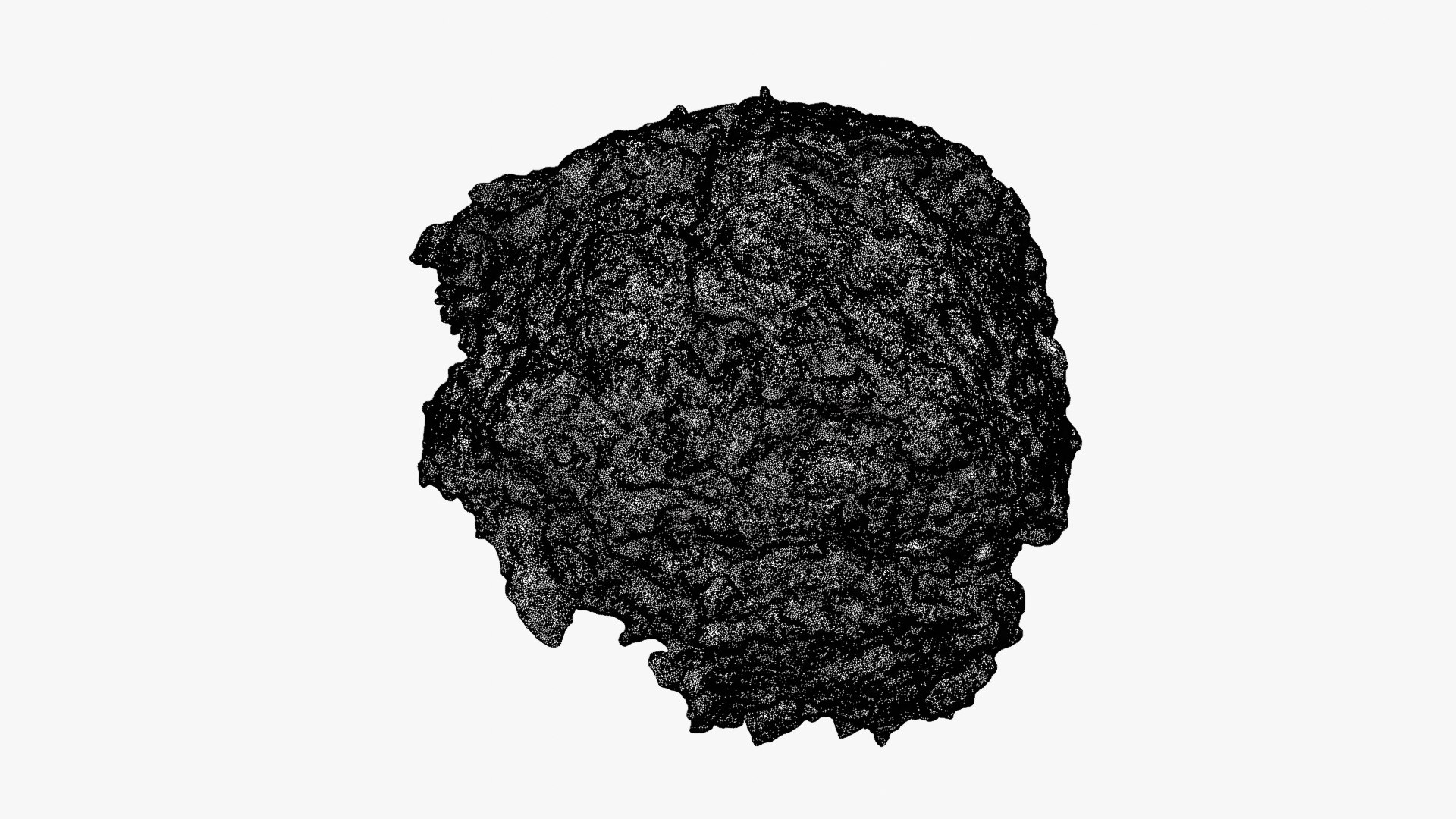 Falafel Half Raw Scan 3D model https://p.turbosquid.com/ts-thumb/9m/n8yCMj/Ij/falafelcut_0011b/png/1750149457/1920x1080/fit_q87/4e5f305f1cdd8280faba62cde22dab530dfee3fc/falafelcut_0011b.jpg