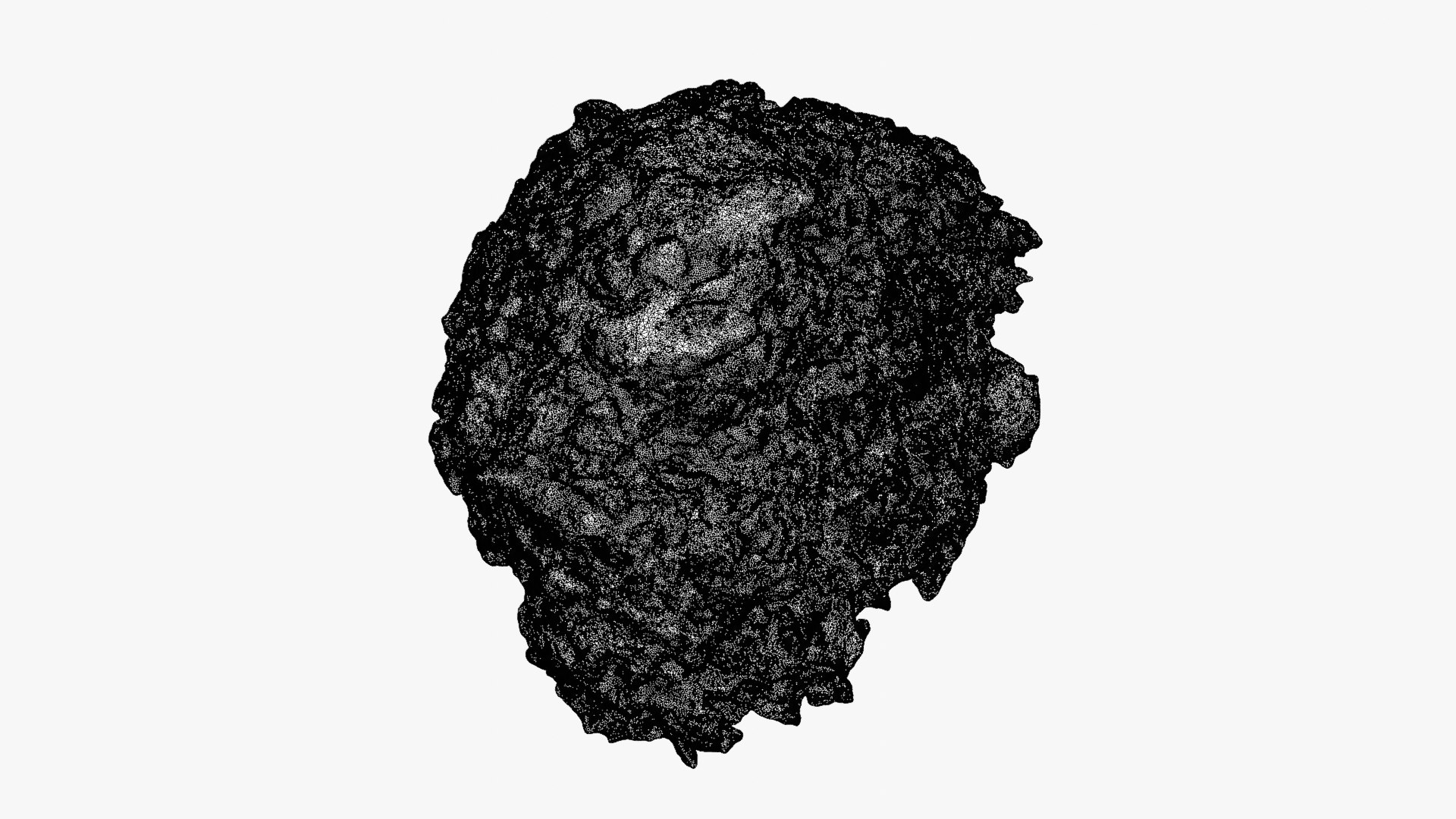 Falafel Half Raw Scan 3D model https://p.turbosquid.com/ts-thumb/9m/n8yCMj/br/falafelcut_0001b/png/1750149441/1920x1080/fit_q87/b0dc69b7cec6146149c97db920f17cf0c508e63b/falafelcut_0001b.jpg