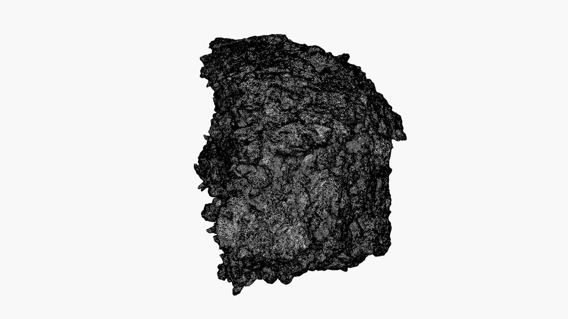 Falafel Half Raw Scan 3D model https://p.turbosquid.com/ts-thumb/9m/n8yCMj/hF/falafelcut_0007b/png/1750149451/1920x1080/fit_q87/9d7bd21e2c4d0394e4d87503f81f920c948b78b7/falafelcut_0007b.jpg
