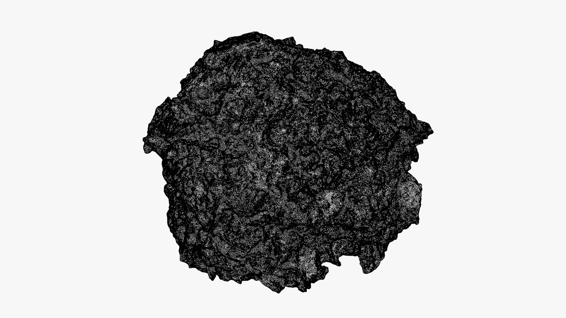 Falafel Half Raw Scan 3D model https://p.turbosquid.com/ts-thumb/9m/n8yCMj/yj/falafelcut_0009b/png/1750149453/1920x1080/fit_q87/718c110743d3f000e6d6cab4ad8c3683ff026d10/falafelcut_0009b.jpg