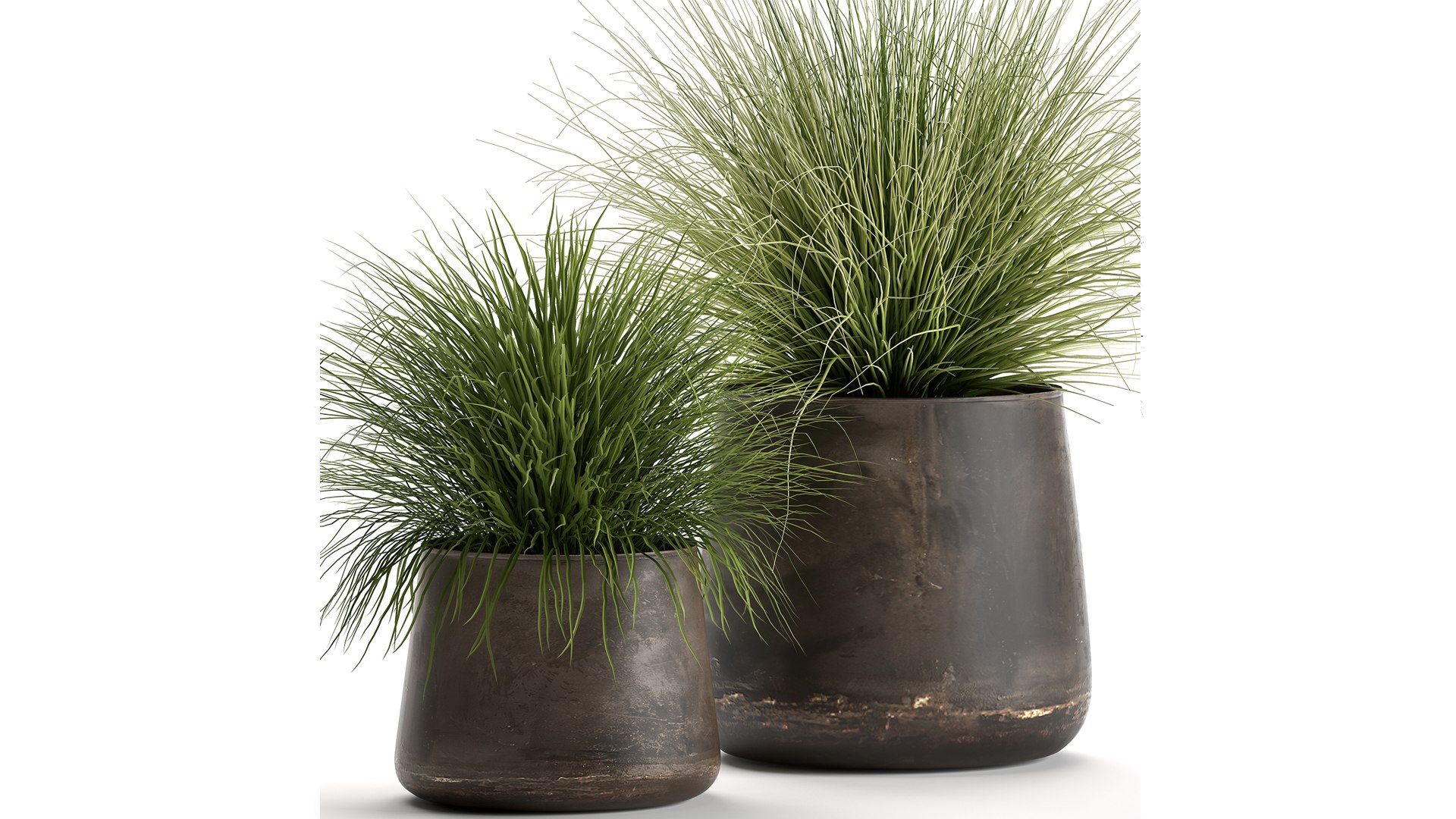 3D ornamental pots grass https://p.turbosquid.com/ts-thumb/9m/xelEfj/Gr/1reeds20104202101/jpg/1617375454/1920x1080/fit_q87/2d05a8d5c4da4325fd80dfaff79e04fe71d1b204/1reeds20104202101.jpg