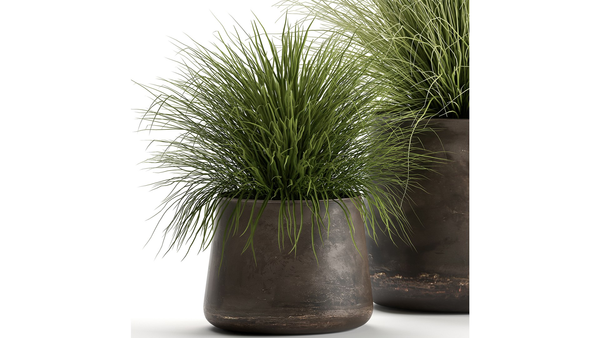 3D ornamental pots grass https://p.turbosquid.com/ts-thumb/9m/xelEfj/VW/1reeds20104202103/jpg/1617375439/1920x1080/fit_q87/9da04939c59bb321090fda161b56659e8fb9523d/1reeds20104202103.jpg