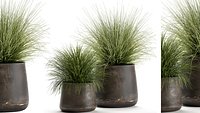 Grass in a Flowerpot for the interior 903